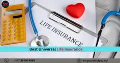 Easy and fast whole life insurance with the lowest price of the Best Universal Life Insurance plan. Ensure your future and get professional and extensive insurance services for any type of insurance. Request your quote now, and avoid financial disasters in your life and those of your close ones. The goals we establish are future-oriented, have a cash value component, and provide for policyholders’ protection. No time like the present to be prepared for your future get the best insurance today.
call us:- ‎+1 (713) 588-4884
visit us:- https://wins4you.us/universal