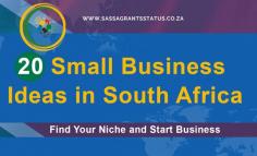 20 Small Business Ideas in South Africa: Find Your Niche
