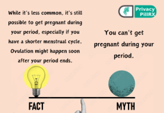 Myths and Facts About Periods