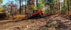 Looking for professional forestry mulching services in Plainville, Georgia? Georgia Brush Mulching provides efficient and environmentally friendly solutions to clear and maintain your land. Our expert team uses state-of-the-art equipment to ensure fast and thorough results. Contact us today to see how we can help you reclaim your property!
