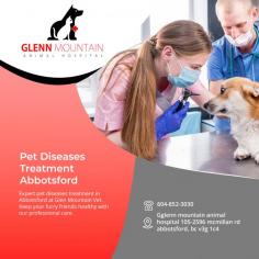 Effective Pet Diseases Treatment Abbotsford by a qualified veterinarian

Do you have a pet? A lot of people do. And it's very important to take care of them. That's why at Pet Diseases Treatment Abbotsford, we have the best pet doctors. They can diagnose and treat your pet for any disease. You don't have to worry about your pet being sick and not getting better because we'll be there to help.