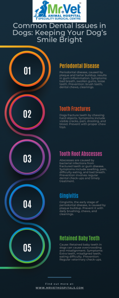 Maintaining your dog’s dental health is crucial for their overall well-being. Dental issues in dogs are often overlooked, but they can lead to serious health problems if not addressed. In this blog, we will explore the most common dental issues in dogs, their causes, symptoms, and how you can keep your dog’s smile bright and healthy.

