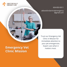 Round-the-Clock 24/7 Emergency Vet Clinic in Mission


Visit Abbotsford Vet Emergency's emergency vet clinic in Mission for superior veterinary care during emergencies. Our experienced team of veterinarians and caring staff are dedicated to providing prompt and compassionate care for your pets when it matters most. Equipped with advanced facilities, we are prepared to handle a wide range of critical situations. Trust our emergency vet clinic in Mission to prioritize your pet's well-being and provide the highest quality of care. Learn more about our services on our website and have peace of mind knowing your pets are in capable hands.