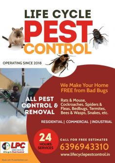 Innovative Techniques: Life Cycle Pest Control

Stay ahead of pest problems with Life Cycle Pest Control’s innovative techniques. Our pest control in Pune services incorporate cutting-edge methods and technologies to manage pests at all life stages. From advanced monitoring systems to targeted treatments, we ensure that pests are controlled effectively and efficiently, reducing the risk of future infestations and safeguarding your property.
