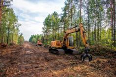 Experience top-notch brush clearing services in North Carolina with North Carolina Land Clearing. Our expert team uses state-of-the-art equipment to efficiently remove overgrown brush and vegetation, enhancing the beauty and usability of your land. We prioritize safety and environmental responsibility in every project. Transform your property today. Contact us for a free consultation!
