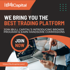 Join iBull Capital’s Introducing Broker Program & Earn Handsome Commissions, Exclusive Support & More!