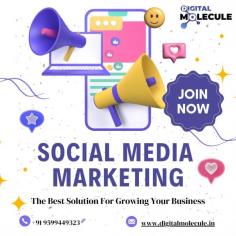 Top website designing and digital marketing company in Delhi. We offer expert web design and digital marketing services to boost your online presence.
website: https://digitalmolecule.in/