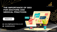 SEO is the root of your business development.