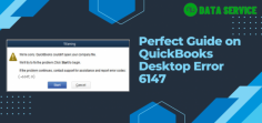 QuickBooks Error Code 6147 occurs when the software fails to open or restore a company file due to file corruption, incorrect file paths, or network issues. Resolve it by verifying file paths, renaming configuration files, and using QuickBooks tools. 