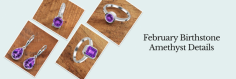 A Detailed Study About the February Birthstone Amethyst

Amethyst Jewelry emanates from the Greek phrase 'amethystos,' which means sober and not intoxicated. This gem is said to be the best for feb buddies. It has been recognized for a long time as a promoter of energy levels physically, mentally, and spiritually. Regarded as the stone of royalty and protection, Amethyst is becoming more preferred in making jewelry as it is not only loved by February people but everyone. 