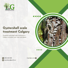 Discover effective Oystershell scale treatment Calgary options at Mr. G Calgary.

Struggling with oystershell scale infestations in Calgary? Visit Mr. G Calgary for professional Oystershell scale treatment Calgary. Our expert team uses advanced methods and eco-friendly products to protect your plants and landscape effectively.