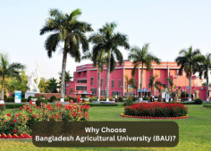 Learn why Bangladesh Agricultural University (BAU) stands out as the premier institution for agricultural studies in Bangladesh.
Also you can visit https://www.tumblr.com/collegevorti/761127191017816064/why-choose-bangladesh-agricultural-university for information.