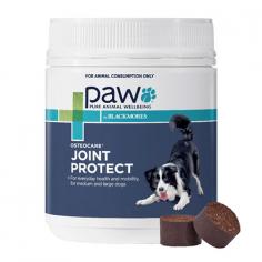 Paw Osteocare Joint Health Chews are tasty kangaroo chews that are intended for daily joint care. They aid in improving joint function and health in younger and older dogs with early arthritis symptoms. It consists of Glucosamine Sulphate and Chondroitin Sulphate that provide cartilage nutrition for optimal joint cartilage health and joint function. The chewable also consists of other ingredients like MSM and a balanced blend of vitamins and minerals that work together to maintain the health of your dog’s joints.
