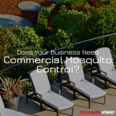 Companies that provide mosquito control services, like best mosquito control companies near me, frequently deal with mosquitoes. With all that experience, we now know which approaches are most successful and which are not.
