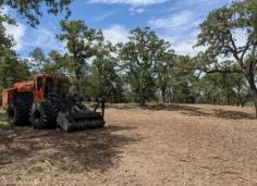 Reclaim your property from dense, overgrown vegetation with Jacksonville Land Clearing's efficient Underbrush Clearing services in Macclenny, Florida. Our expert team is ready to transform your land and make it more functional and beautiful.Contact us now to schedule your service!