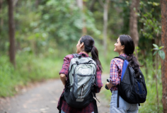 Discover the breathtaking beauty of North Georgia’s hiking trails. From the serene shores of Lake Chatuge to the rugged peaks of Brasstown Bald, embark on unforgettable adventures through lush forests and cascading waterfalls. Whether you’re a seasoned hiker or a beginner, there’s a trail for everyone to explore. Visit now!