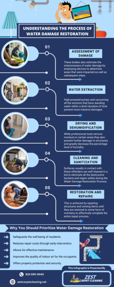 Efficient Water Damage Restoration Services 

Flooding, like leaking pipes can create havoc on your home. Our professional water damage restoration technicians arrive at your home and extract the water with suitable and powerful equipment. Call us at 818-590-9440 for more details.
