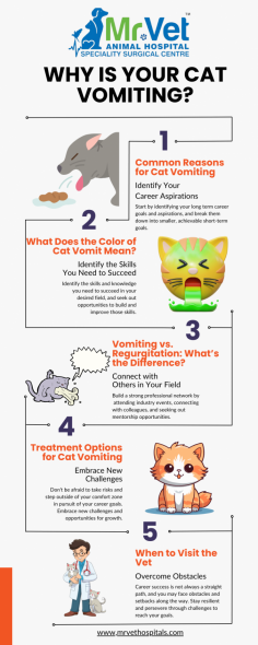 Cats are known for their finicky behavior, but when your feline friend starts vomiting, it can be worrying. Vomiting can indicate several health issues, ranging from harmless to serious. In this blog, we’ll help you understand why your cat might be vomiting, the differences between vomiting and regurgitation, and what the color of vomit can tell you. We’ll also explore treatment options to keep your pet healthy.

