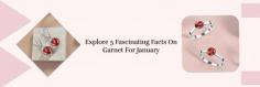 Unlock The Magic Of January: All You Need To Know About The Birthstone For January

Be a part of captivating gemstones purchasing from Sagacia Jewelry, where quality meets affordability. Everyone seeking a stress-free and easy life so, hey January champs, it's your time to experience real joy with your January Birthstone Garnet. Don’t waste your time anymore, just visit Sagacia Jewelry to not only be adorned with January Birthstone but also with various attractive collections of semi-precious and opaque gemstones. Here, you can easily find crystals that are associated with your birthdate and take a step in the direction of divine power.