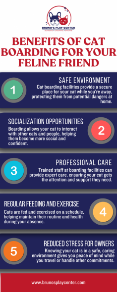 Cat boarding is a safe option when you’re away, giving your cat a cozy space cared for by trained staff. With regular feeding, playtime, and social interactions, boarding reduces loneliness and keeps your cat happy. Facilities are designed with cats in mind, with comfy beds, toys, and areas to explore. Plus, boarding centers provide immediate medical care if needed, ensuring your pet’s health is a top priority. This setup lets you relax, knowing your cat is secure and well-looked-after.