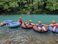 Explore the natural wonders of Rio Celeste Tours

As you walk or stroll through the park, our expert guides will share their knowledge and information about the unique flora and fauna that inhabit this area. Along the way, you might spot sloths , monkeys, toucans, and other amazing wildlife.

Know more: https://riocelesteaventuras.com/tours/