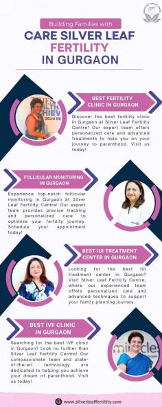 At Silver Leaf, we pride ourselves on our international-standard facilities and cutting-edge technology, ensuring our patients receive the highest quality of care. Our hospital is renowned for its high success rates and comprehensive fertility treatments, tailored specifically to meet the unique needs of each individual or couple.
https://silverleaffertility.com/
