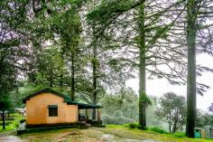 Historically, it was the summer capital of the kings of the Chand dynasty. It has now transformed into a 45sqkm sanctuary protecting a number of flora and faunas. The Binsar hill station  is the proud home to more than 200 distinctive species of birds, leopards and other animals.