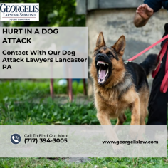 Injured in a dog attack? A dog bite can change everything. Our dog attack lawyer in Lancaster, PA is dedicated to protecting your rights and getting the compensation you deserve.From medical bills to emotional recovery. Contact us today to learn more  https://www.georgelislaw.com/practice-areas/personal-injury/animal-dog-bites/