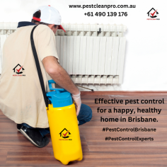 Looking for expert pest control services in Logan City? Our certified professionals offer fast, eco-friendly pest management solutions for homes and businesses. Eliminate termites, rodents, and other pests with trusted services.