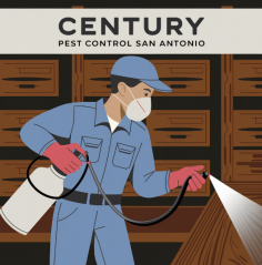 Century Pest Control has been a trusted and reliable service provider for San Antonio residents and businesses for years. As local experts, they are affiliated with national, state, and local pest management associations, providing access to a broad network of industry professionals. Century is deeply familiar with local pest trends because they are part of the community. When pests become a problem, customers can rely on experienced applicators who have successfully resolved similar issues countless times, ensuring effective and personalized solutions. visit our website: https://centurypest.com/
