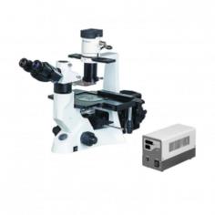 Inverted Fluorescence Microscope LIFM-A11

Labtron Inverted Fluorescence Microscope offers a magnification range of 40X to 400X with LWD Infinite Plan Objectives for high-resolution imaging. Featuring EPI-fluorescent blue/green light, a halogen lamp and a Hi-voltage Spherical Mercury Lamp with protection barrier, it ensures durability, efficiency and excellent fluorescent imaging.