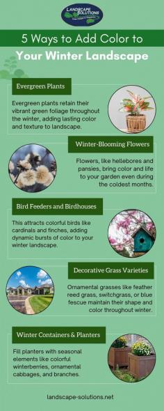 Adding vibrant elements to your garden enhances biodiversity and makes the winter season feel more cheerful and inviting. A colorful winter landscape is visually stunning and beneficial for the environment, as it attracts birds and beneficial insects. Here explores various ways to add color to your winter landscape, including planting evergreens. Check it out, or visit our website for more details!
visit here - https://landscape-solutions.net/5-ways-to-add-color-to-your-winter-landscape/