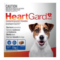 Heartgard Plus Chewables for Small Dogs (Up to 11kg) is a tasty monthly solution for heartworm prevention and intestinal worm control. Easy to administer and highly effective, Heartgard Plus is ideal for small dogs. Buy now from VetSupply for complete protection!