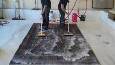 Get the best service for Rug Cleaning in Moorooka at Clean Carpets Brisbane. Visit- https://maps.app.goo.gl/s5VcHUkVfRA4GVMi9        