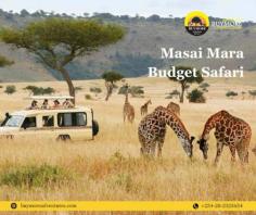 Why Masai Mara Is A Bucket List Travel Destination For People On Budget


When individuals embark on Safaris to Masai Mara, they seek to maximize their chances of encountering wildlife. To read our published blog: https://masaimaraluxurysafari.wordpress.com/2024/11/07/why-masai-mara-is-a-bucket-list-travel-destination-for-people-on-budget/

Visit our website today at: https://www.buymoreadventures.com/kenya-safaris/4-days-masai-mara-budget-group-joining-camping-safari
