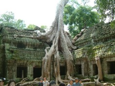 Cambodia Photos - Featured Pictures of Cambodia, Asia - TripAdvisor