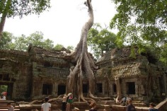 Cambodia Pictures - Traveller Photos of Cambodia, Asia - TripAdvisor