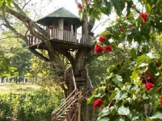 Chiang Mai Photos - Featured Pictures of Chiang Mai, Chiang Mai Province - TripAdvisor