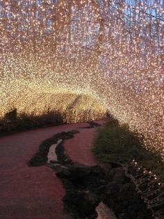 tunnel of lights, ireland