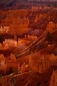 Bryce Canyon Amphitheater, Utah