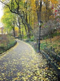 Central Park, New York City