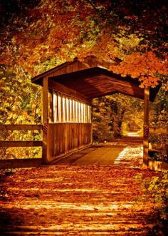 Bridge On The Kal-Haven Trail by Michael Kucinski)