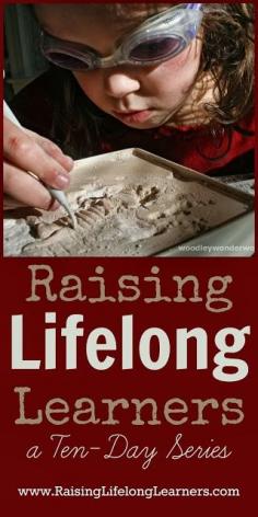 Raising Lifelong Learners - a Ten Day Series via www.RaisingLifelo...