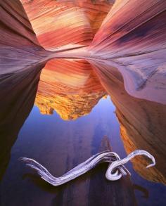 Petrified Sand Dunes and Reflection, Paria Canyon - Vermillion Cliffs Wilderness, Arizona.