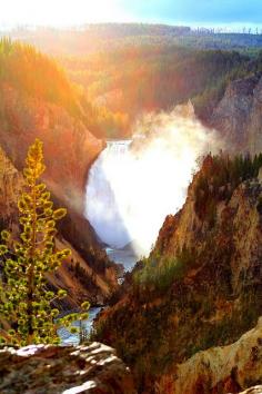 Grand Canyon of Yellowstone, Wyoming