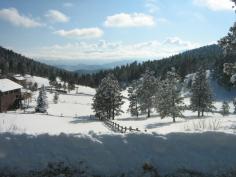 Colorado snow.