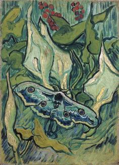 'Great Peacock Moth'  --  1889  --  Vincent van Gogh  --  Dutch  --  Oil on canvas  --  Van Gogh Museum  --  Amsterdam, Netherlands