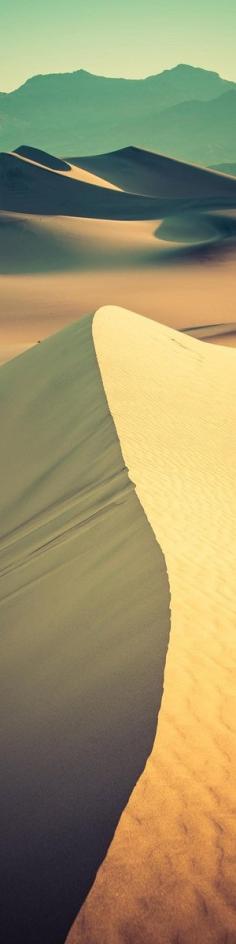 Trekking across the desert - from the Exhibition: "Cropped for Pinterest"