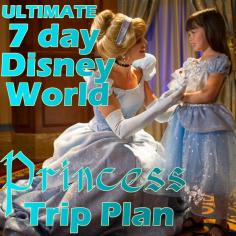 A princess-themed Disney World trip plan- lots of ideas for the little princess in your life!