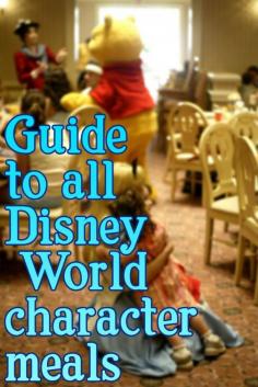 Info on every Disney World character meal - menus, characters that attend, pros/cons